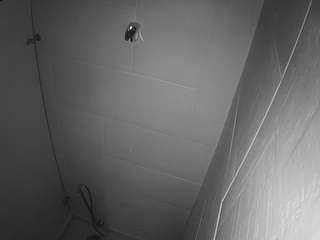 voyeurcam-jb-shower-1