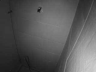 voyeurcam-jb-shower-1