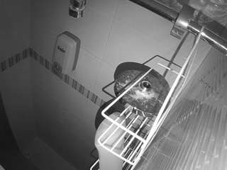 voyeurcam-jb-shower-14