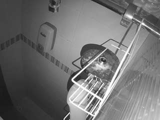 Aubreemartin camsoda voyeurcam-jb-shower-14