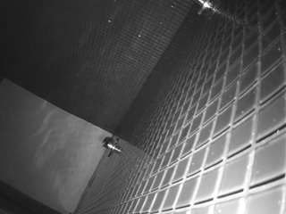 voyeurcam-jb-shower-15