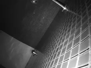 voyeurcam-jb-shower-15's Live Sex Cam Show