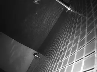 voyeurcam-jb-shower-15's Live Sex Cam Show