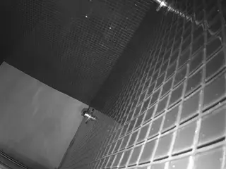 voyeurcam-jb-shower-15's Live Sex Cam Show