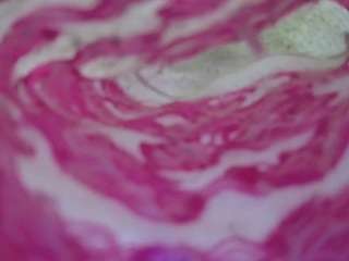 voyeurcam-jb-shower-2 1 live webcam