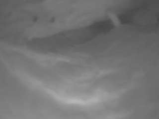 voyeurcam-jb-shower-2 live cam profile