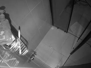 voyeurcam-jb-shower-2