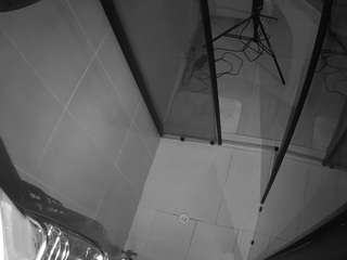 voyeurcam-jb-shower-2