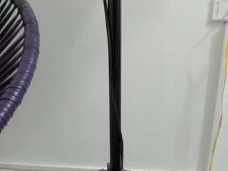 alison-charris webcam