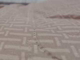 RACHELL-HOT live cam preview