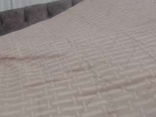 RACHELL-HOT live cam preview