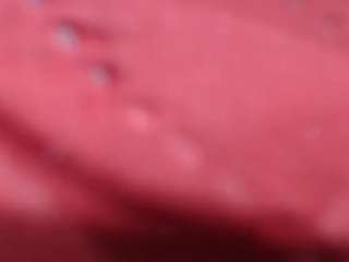RACHELL-HOT live cam preview