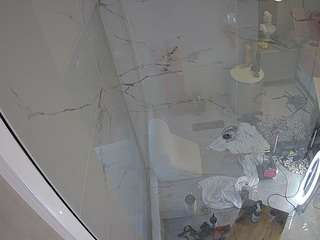 Hd, Voyeur, Sexwebcam, Pov, No drinking, Mixed, Hidden cam, Hidden, Flashin..., Live Webcam Blowjob 2