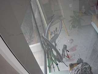 voyeurcam-casa-salsa-bathroom-10