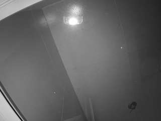 voyeurcam casa salsa bathroom 10
