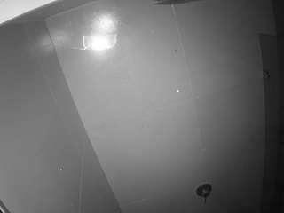 voyeurcam casa salsa bathroom 10