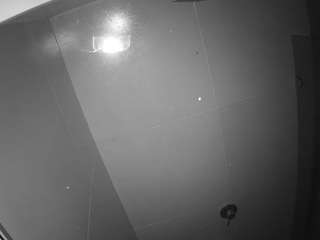 Questo modello è in diretta ora. voyeurcam-casa-salsa-bathroom-10