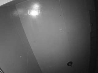voyeurcam-casa-s... Live Webcam on CamSoda