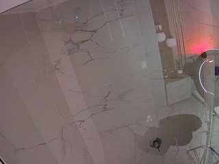 voyeurcam-casa-salsa-bathroom-10