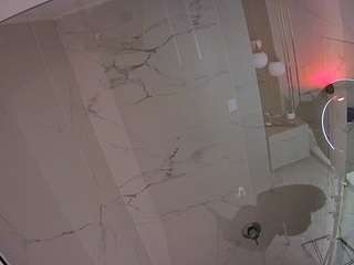 voyeurcam-casa-salsa-bathroom-10