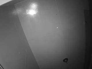 voyeurcam-casa-s... Live Webcam on CamSoda