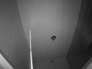 voyeurcam-casa-salsa-bathroom-10's Live Sex Cam Show