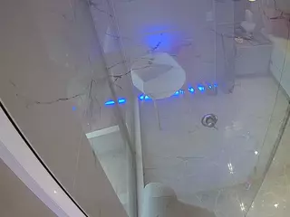 voyeurcam casa salsa bathroom 10's Live Sex Cam Show