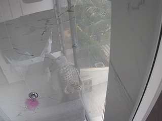 voyeurcam casa salsa bathroom 11