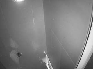 voyeurcam casa salsa bathroom 11