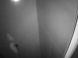 Live Sex Chat with voyeurcam casa salsa bathroom 11 (@voyeurcam-casa-salsa-bathroom-11)