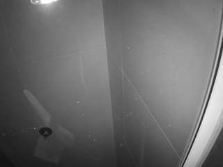 voyeurcam-casa-salsa-bathroom-11