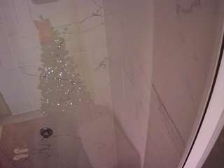 voyeurcam-casa-salsa-bathroom-11