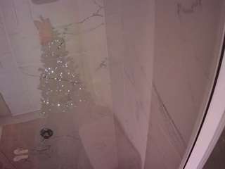 voyeurcam-casa-salsa-bathroom-11