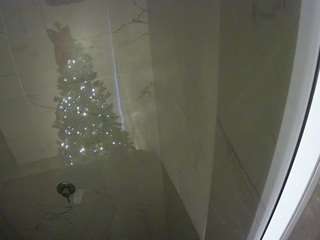voyeurcam-casa-salsa-bathroom-11