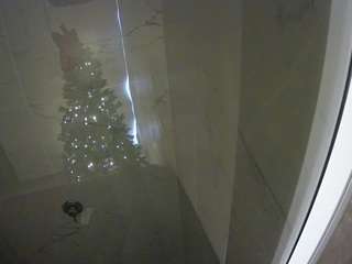 voyeurcam-casa-salsa-bathroom-11