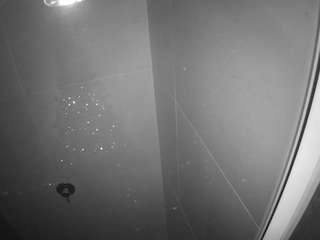 voyeurcam-casa-salsa-bathroom-11