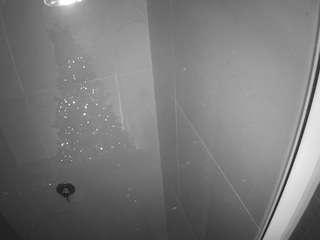 voyeurcam-casa-salsa-bathroom-11