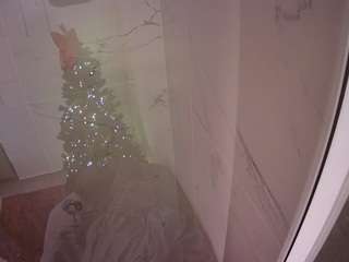 voyeurcam-casa-salsa-bathroom-11