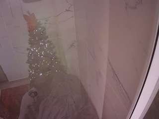 voyeurcam-casa-salsa-bathroom-11