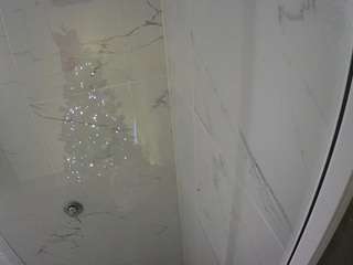 voyeurcam-casa-salsa-bathroom-11