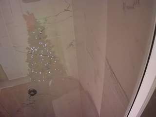 voyeurcam-casa-salsa-bathroom-11