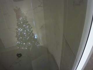 voyeurcam casa salsa bathroom 11