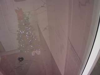 voyeurcam-casa-salsa-bathroom-11