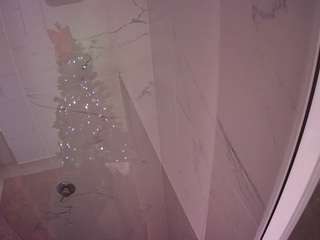voyeurcam-casa-salsa-bathroom-11