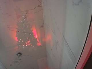 voyeurcam-casa-salsa-bathroom-11