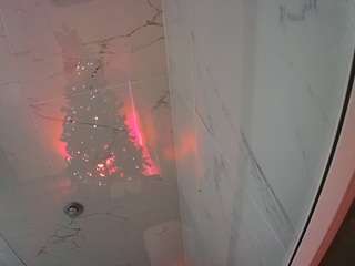 voyeurcam-casa-salsa-bathroom-11