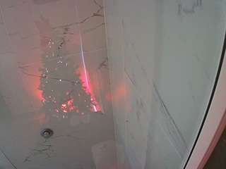 voyeurcam-casa-salsa-bathroom-11