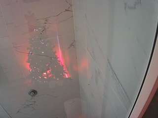 voyeurcam-casa-salsa-bathroom-11
