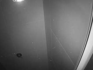 voyeurcam casa salsa bathroom 11