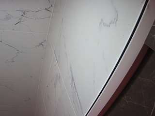 voyeurcam-casa-salsa-bathroom-11